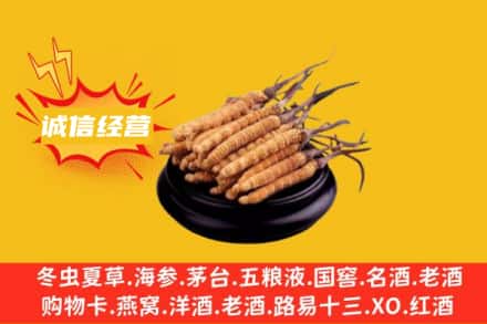 安顺市平坝回收冬虫夏草